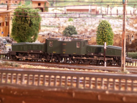 6/8 Crocodile  Suisse